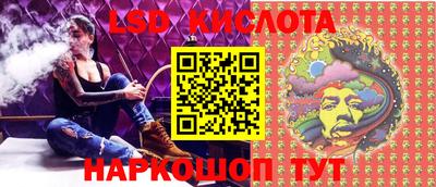 спиды Новодвинск