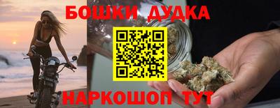 спиды Новодвинск