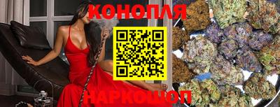 спиды Новодвинск