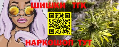 спиды Новодвинск