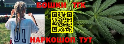 спиды Новодвинск