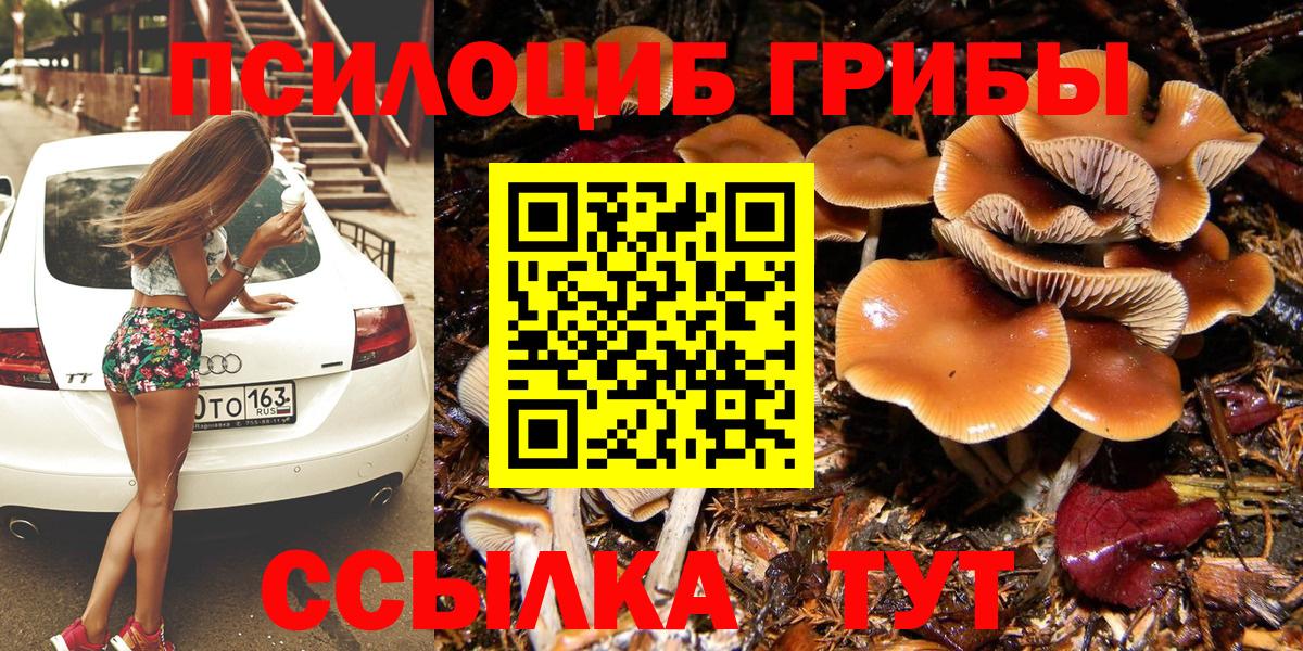 Галлюциногенные грибы мицелий  Галлюциногенные грибы Magic Shrooms  Фурманов  Вход с VPN 